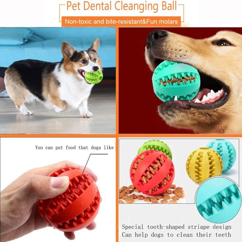 Dog Chew Ball Interactive