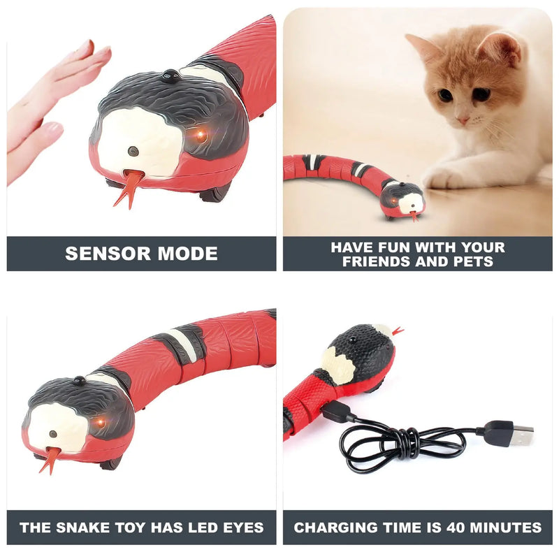 SerpentineSlider Cat Toy - Automatic - Martsgaia