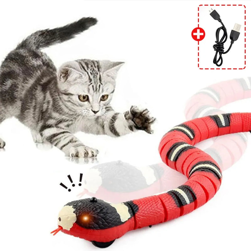 SerpentineSlider Cat Toy - Automatic - Martsgaia