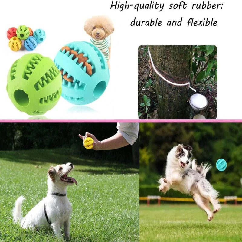 Dog Chew Ball Interactive