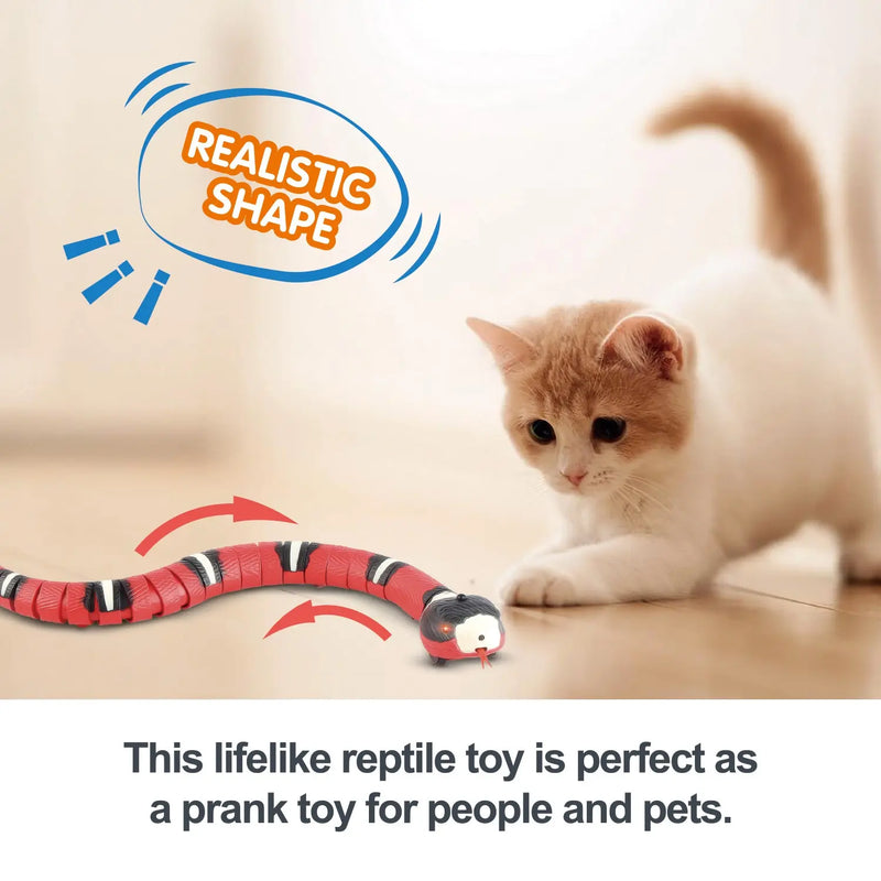 SerpentineSlider Cat Toy - Automatic - Martsgaia