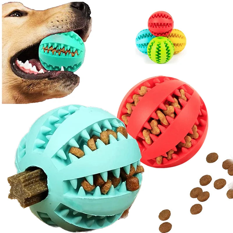 Dog Chew Ball Interactive