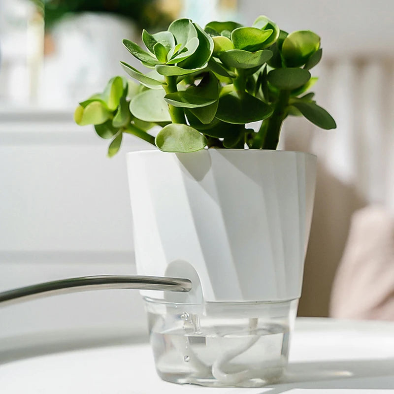 Innovative Watering System Planter Hydroponic - Martsgaia